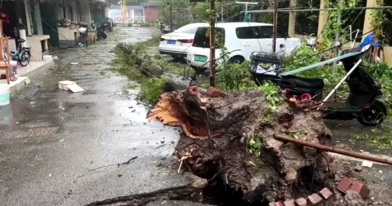 Typhoon Bebinca,shanghai,typhoon bebinca hits shanghai