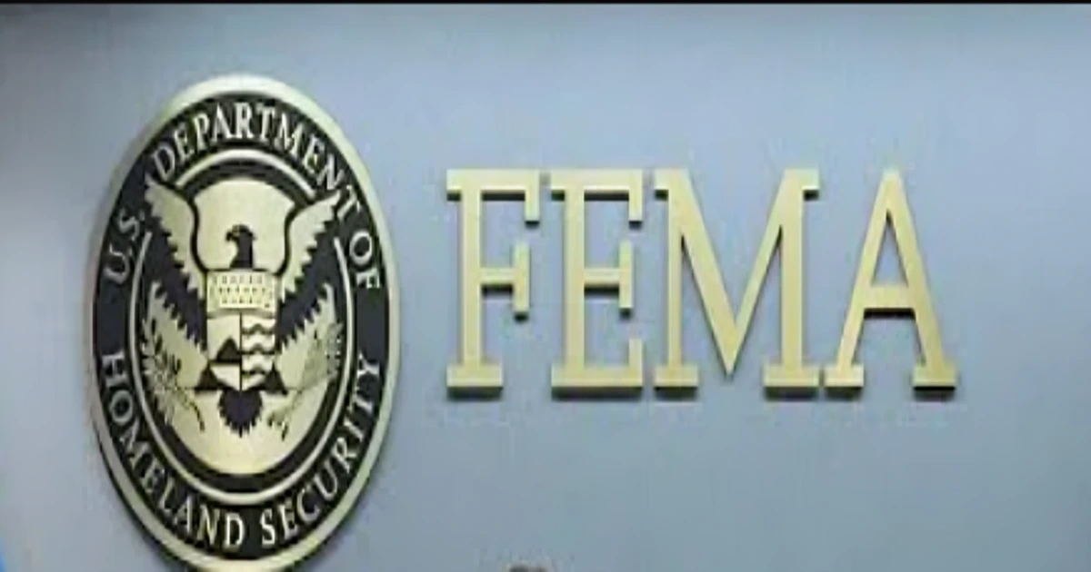 fema director,fema employee fired, fema