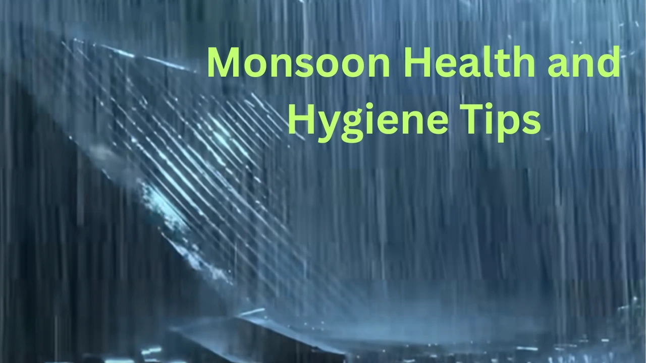 Monsoon Health and Hygiene Tips, Skin Care during Monsoon, Food Safety And Nutrition in Monsoon, Vector Control and Protection Monsoon, Immunity Boosting Strategies in Monsoon